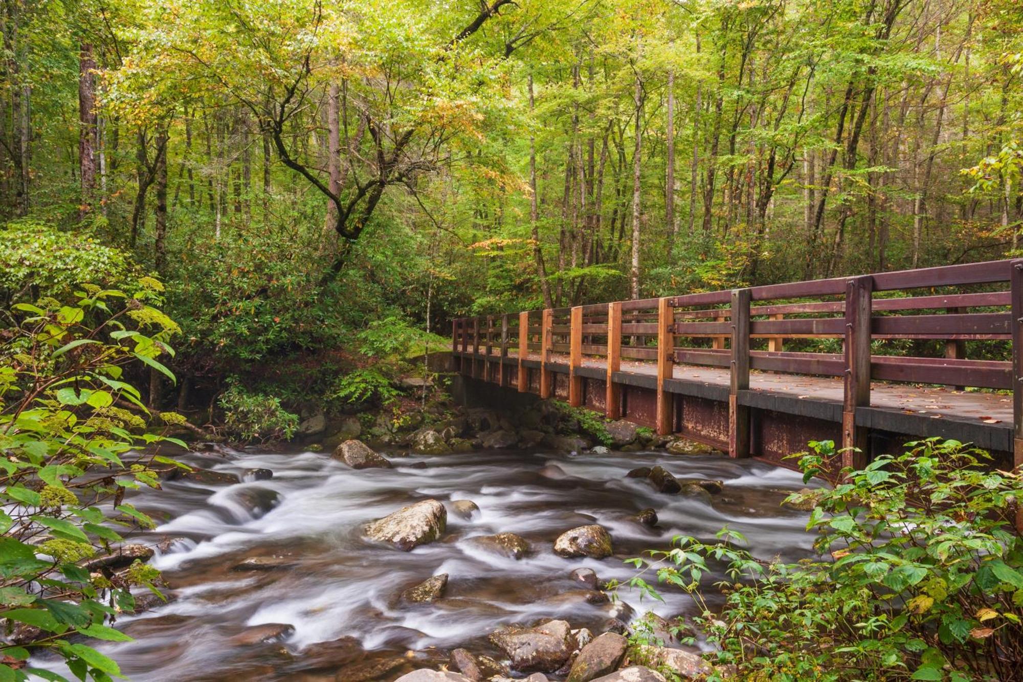 Villa A Million Dollar View- Get 951 Worth Of Free Area Attraction Tickets For Each Paid Day! Gatlinburg Exterior foto
